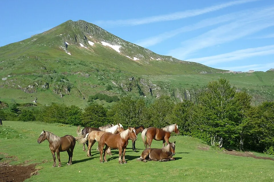 Puy Mary — Cantal